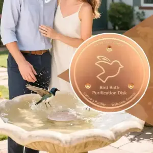 Bain d'oiseaux en cuivre avec disque purificateur et support trois points