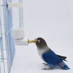 Distributeur d'eau automatique à aiguille pour oiseaux