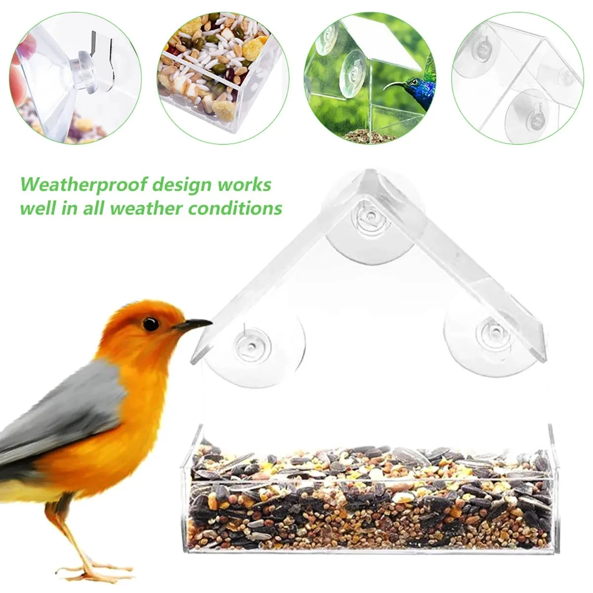 Maison fenêtre transparente avec ventouses amovibles pour oiseaux sauvages – Image 2
