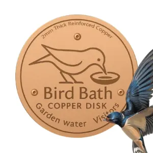 Disque en cuivre à poser dans le bain d'eau des oiseaux du jardin
