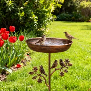 Bain à oiseaux en fer robuste pour le jardin