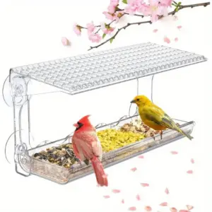 Mangeoire à oiseaux transparente pour fenêtre extérieure