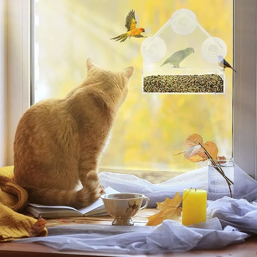 Maison fenêtre transparente avec ventouses amovibles pour oiseaux sauvages – Image 4