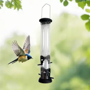 Mangeoire automatique transparente distributeur de nourriture pour oiseaux