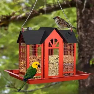 Mangeoire sauvage à suspendre pour l'extérieur, accueil des oiseaux du jardin