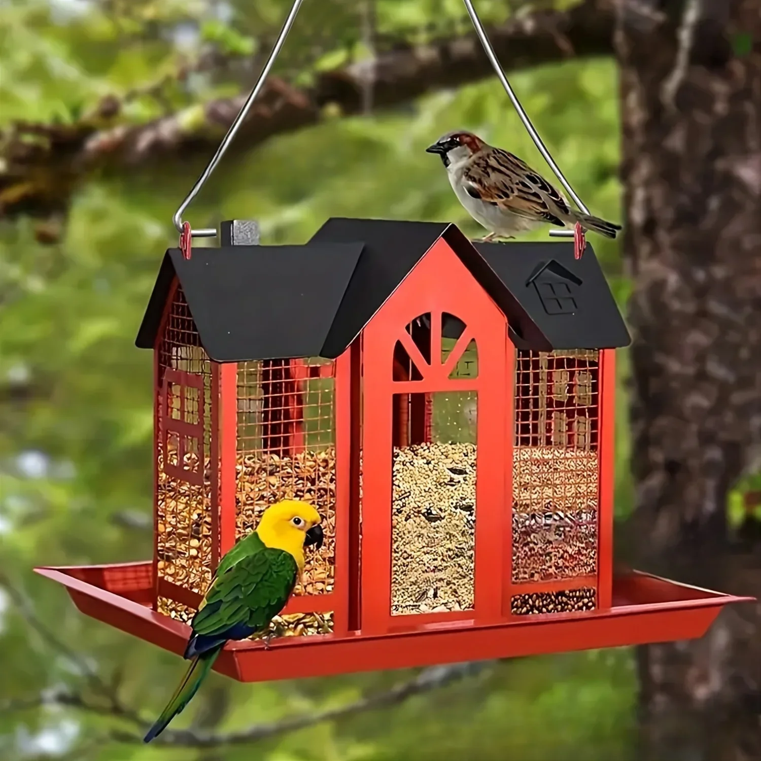 Mangeoire sauvage à suspendre pour l'extérieur, accueil des oiseaux du jardin
