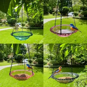 Baignoire et mangeoire suspendues pour oiseaux du jardin
