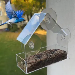 Mangeoire fenêtre à plateau réutilisable pour oiseaux du jardin